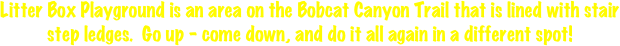 
Litter Box Playground is an area on the Bobcat Canyon Trail that is lined with stair step ledges.  Go up - come down, and do it all again in a different spot!
